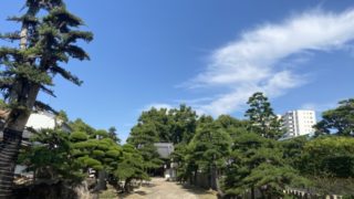 初老の体をどんどんといじめて健康になってみる